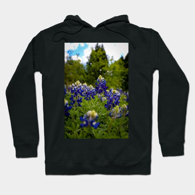 Texas Bluebonnets Hoodie by jonesing